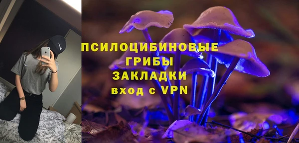 гашик Алексеевка